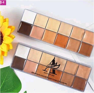 Adventure pallet concealer